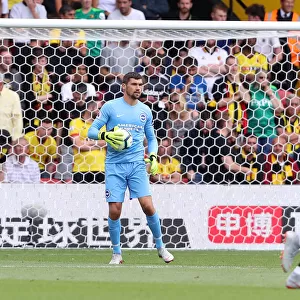 Mathew Ryan in Action: Brighton and Hove Albion vs. Watford, Premier League (11th August 2018)