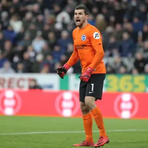 Mathew Ryan of Brighton and Hove Albion Faces Newcastle United Attack in Premier League Clash (30DEC17)