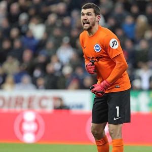 Mathew Ryan Faces Newcastle Onslaught: Premier League Clash between Brighton and Hove Albion at St. James Park (30DEC17)