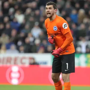 Mathew Ryan Faces Newcastle Onslaught: Premier League Clash between Brighton and Hove Albion at St. James Park (30DEC17)