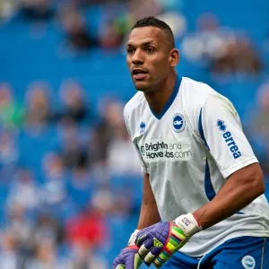 Michel Kuipers: A Former Brighton and Hove Albion Football Star Michel Kuipers: A Former Brighton and Hove Albion Football Star