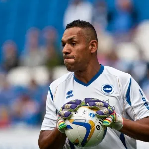 Michel Kuipers: A Former Brighton and Hove Albion Star Michel Kuipers: A Former Brighton and Hove Albion Star