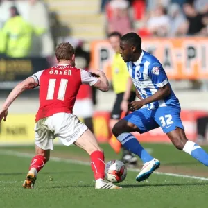 Mustapha Carayol: In Action for Brighton and Hove Albion against Rotherham United (April 6, 2015)