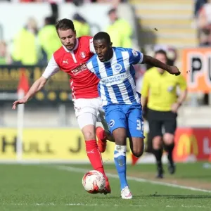 Mustapha Carayol: In Action for Brighton and Hove Albion vs. Rotherham United, Sky Bet Championship, 6th April 2015
