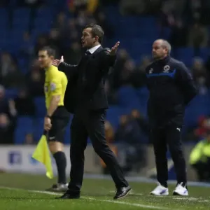 Nathan Jones in Action: Brighton and Hove Albion vs. Reading, American Express Community Stadium (26DEC14) Nathan Jones in Action: Brighton and Hove Albion vs. Reading, American Express Community Stadium (26DEC14)