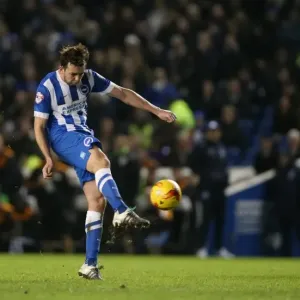 New Year's Battle in the Championship: Brighton & Hove Albion vs. Wolverhampton Wanderers (01/01/2016) New Year's Battle in the Championship: Brighton & Hove Albion vs. Wolverhampton Wanderers (01/01/2016)