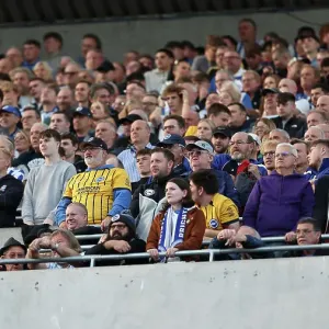 Newcastle United v Brighton and Hove Albion Premier League 19OCT24 Newcastle United v Brighton and Hove Albion Premier League 19OCT24