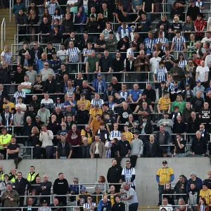 Newcastle United v Brighton and Hove Albion Premier League 19OCT24 Newcastle United v Brighton and Hove Albion Premier League 19OCT24