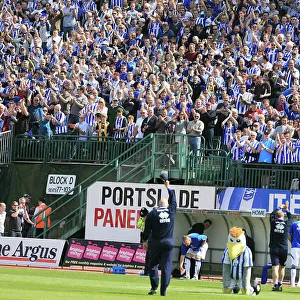 A Nod to Past Glories: Brighton & Hove Albion vs. Stockport County (2008-09)