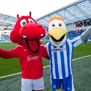 Nostalgic Look Back: Brighton & Hove Albion vs. Wrexham (FA Cup, 2011-12) - A Journey Down Memory Lane Nostalgic Look Back: Brighton & Hove Albion vs. Wrexham (FA Cup, 2011-12) - A Journey Down Memory Lane