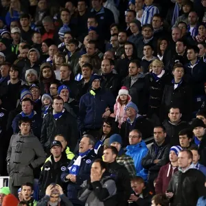 A Nostalgic Look Back: Brighton & Hove Albion vs. Watford (29-12-2012) - 2012-13 Home Season Game