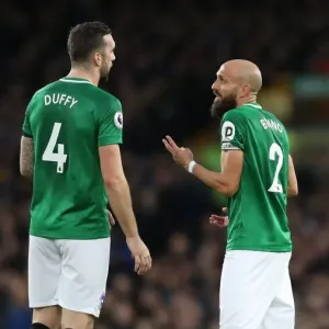 Nov. 3, 2018: Everton vs. Brighton & Hove Albion - Premier League Clash at Goodison Park