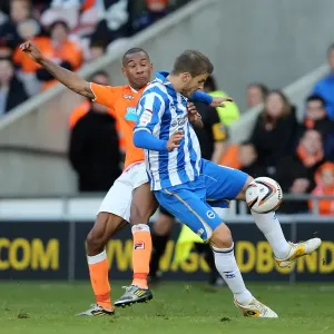 Orlandi in Action: Blackpool vs. Brighton & Hove Albion, 12-10-2012 Orlandi in Action: Blackpool vs. Brighton & Hove Albion, 12-10-2012