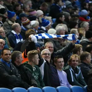 Passionate Albion Fans: A Moment of Pride at American Express Community Stadium (26DEC14) - Brighton and Hove vs. Reading Passionate Albion Fans: A Moment of Pride at American Express Community Stadium (26DEC14) - Brighton and Hove vs. Reading