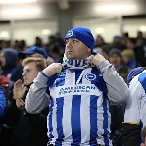 Passionate Albion Fans: A Moment of Pride at the American Express Community Stadium vs Leeds United (24 February 2015)
