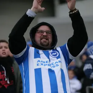 Passionate Brighton & Hove Albion Fans in Action at the American Express Community Stadium vs. Wolverhampton Wanderers (14 March 2015) Passionate Brighton & Hove Albion Fans in Action at the American Express Community Stadium vs. Wolverhampton Wanderers (14 March 2015)