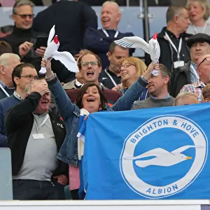 Passionate Brighton and Hove Albion Fans at American Express Community Stadium vs Manchester City (May 12, 2019)