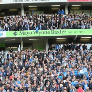 Passionate Brighton and Hove Albion Fans at American Express Community Stadium vs. Wigan Athletic (17APR17) Passionate Brighton and Hove Albion Fans at American Express Community Stadium vs. Wigan Athletic (17APR17)