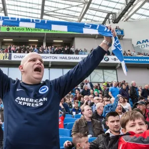Passionate Brighton and Hove Albion FC Fan Amidst the Championship Action, April 2016 (Brighton vs. Burnley) Passionate Brighton and Hove Albion FC Fan Amidst the Championship Action, April 2016 (Brighton vs. Burnley)