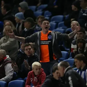 Passionate Clash: Brighton and Hove Albion vs Millwall (12DEC14) - Sky Bet Championship Rivalry at American Express Community Stadium