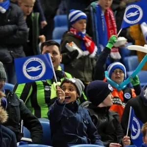 Passionate Clash: Brighton & Hove Albion vs Leeds United Fans at American Express Community Stadium (24 February 2015) Passionate Clash: Brighton & Hove Albion vs Leeds United Fans at American Express Community Stadium (24 February 2015)