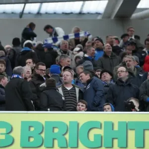 Passionate Clash: Brighton & Hove Albion vs. Brentford (17Jan15)