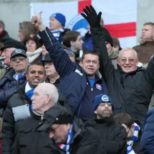 Passionate Clash: Brighton & Hove Albion vs. Brentford (17 January 2015) - Fans Showing Intense Emotion at the American Express Community Stadium