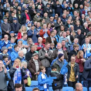 Passionate Clash: Brighton & Hove Albion vs. Watford Fans at the American Express Community Stadium (2015) Passionate Clash: Brighton & Hove Albion vs. Watford Fans at the American Express Community Stadium (2015)