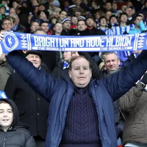 Passionate Crowd of Brighton and Hove Albion FC at FA Cup Match vs Watford (January 2011) Passionate Crowd of Brighton and Hove Albion FC at FA Cup Match vs Watford (January 2011)