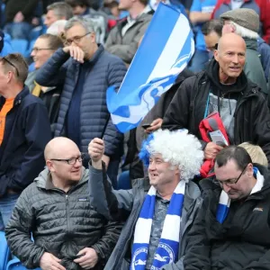 Passionate Fan Encounters: Brighton & Hove Albion vs. Watford in the Sky Bet Championship (25APR15) Passionate Fan Encounters: Brighton & Hove Albion vs. Watford in the Sky Bet Championship (25APR15)