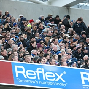 Passionate Fan Showdown: Brighton & Hove Albion vs. Brentford (17 January 2015)