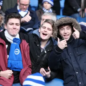 Passionate Fan Showdown: Brighton & Hove Albion vs. Brentford (17 January 2015)