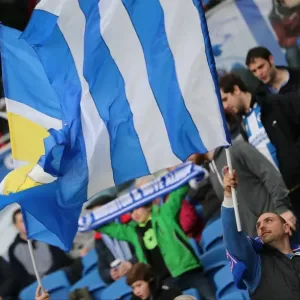 Passionate Fan Showdown: Brighton & Hove Albion vs. Norwich City at American Express Community Stadium (3rd April 2015) Passionate Fan Showdown: Brighton & Hove Albion vs. Norwich City at American Express Community Stadium (3rd April 2015)