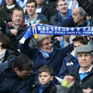 Passionate Fan Showdown: Brighton and Hove Albion vs. Norwich City at American Express Community Stadium (3rd April 2015) Passionate Fan Showdown: Brighton and Hove Albion vs. Norwich City at American Express Community Stadium (3rd April 2015)