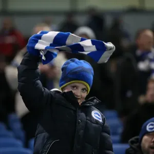Passionate Moment: Brighton and Hove Albion Fans Unwavering Support vs Ipswich Town (January 2015)