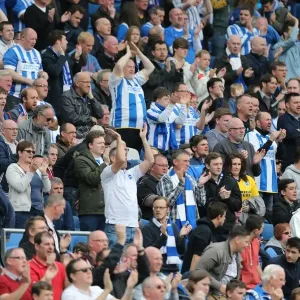 Passionate Moment: Brighton and Hove Albion vs. Watford (25APR15) - American Express Community Stadium Passionate Moment: Brighton and Hove Albion vs. Watford (25APR15) - American Express Community Stadium