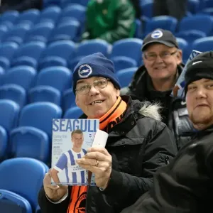Passionate Showdown: Brighton and Hove Albion vs Ipswich Town at American Express Community Stadium (January 2015)