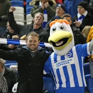 Passionate Showdown: Brighton & Hove Albion vs Leeds United at the American Express Community Stadium (24 February 2015) Passionate Showdown: Brighton & Hove Albion vs Leeds United at the American Express Community Stadium (24 February 2015)