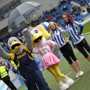 A Past Season's Rivalry: Brighton & Hove Albion vs. Crystal Palace (17-03-2013) A Past Season's Rivalry: Brighton & Hove Albion vs. Crystal Palace (17-03-2013)