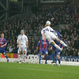 Images Dated 2006 November: 13 Nov 2006