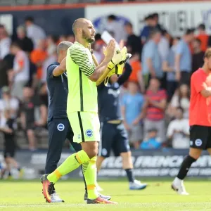 Pre-season Championship Showdown: Luton Town vs. Brighton & Hove Albion (23rd July 2016) Pre-season Championship Showdown: Luton Town vs. Brighton & Hove Albion (23rd July 2016)