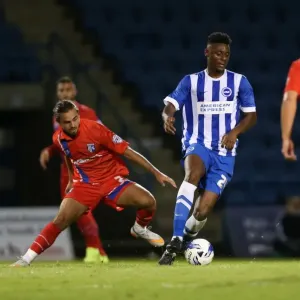 Pre-Season Clash: Gillingham vs. Brighton and Hove Albion at Priestfield Stadium (29/07/2015) Pre-Season Clash: Gillingham vs. Brighton and Hove Albion at Priestfield Stadium (29/07/2015)