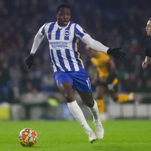 Premier League Battle: Brighton & Hove Albion vs. Wolverhampton Wanderers (15DEC21) Premier League Battle: Brighton & Hove Albion vs. Wolverhampton Wanderers (15DEC21)