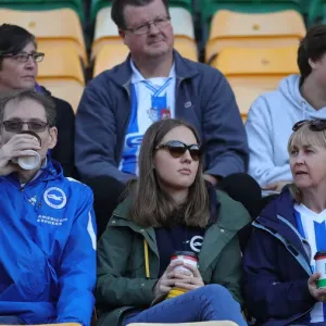 Premier League Battle: Norwich City vs. Brighton and Hove Albion at Carrow Road (16th October 2021) Premier League Battle: Norwich City vs. Brighton and Hove Albion at Carrow Road (16th October 2021)