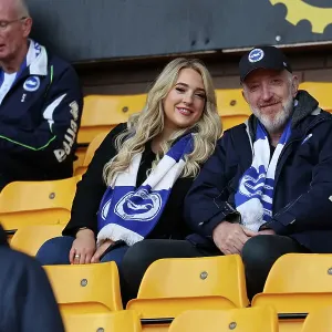 Premier League Battle: Wolverhampton Wanderers vs Brighton and Hove Albion at Molineux Stadium (November 5, 2022)