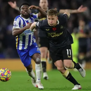 Premier League Clash: Brighton & Hove Albion vs. Newcastle United (06NOV21) Premier League Clash: Brighton & Hove Albion vs. Newcastle United (06NOV21)