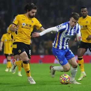 Premier League Clash: Brighton & Hove Albion vs. Wolverhampton Wanderers (15DEC21) - American Express Community Stadium Premier League Clash: Brighton & Hove Albion vs. Wolverhampton Wanderers (15DEC21) - American Express Community Stadium