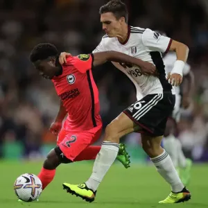 Premier League Clash: Fulham vs. Brighton & Hove Albion at Craven Cottage (30AUG22)