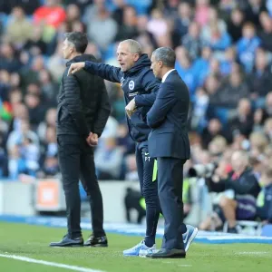 Premier League Showdown: Brighton and Hove Albion vs. Southampton (29OCT17) - American Express Community Stadium Premier League Showdown: Brighton and Hove Albion vs. Southampton (29OCT17) - American Express Community Stadium