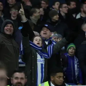 Premier League Showdown: Brighton & Hove Albion vs. Crystal Palace (November 2017) - American Express Community Stadium Premier League Showdown: Brighton & Hove Albion vs. Crystal Palace (November 2017) - American Express Community Stadium